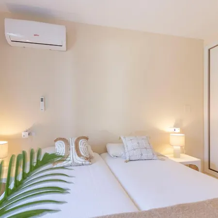 Robin - Costa Carpediem