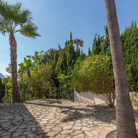 Robin - Costa Carpediem * Calp