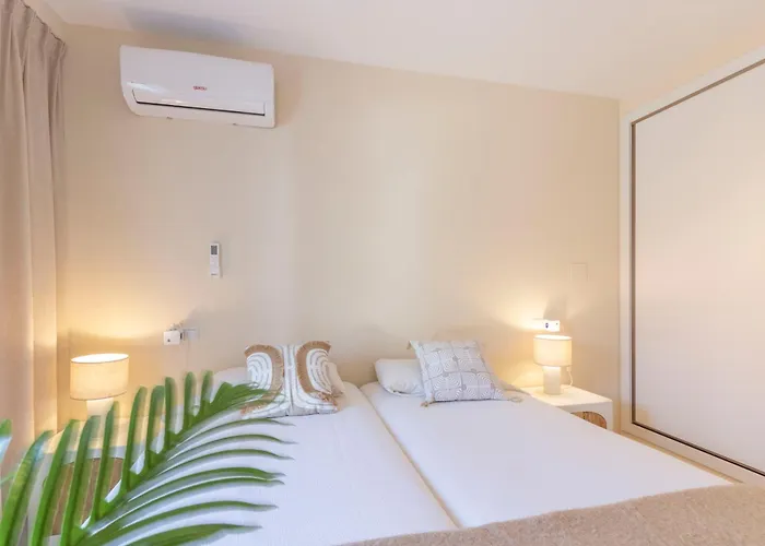 Robin - Costa Carpediem