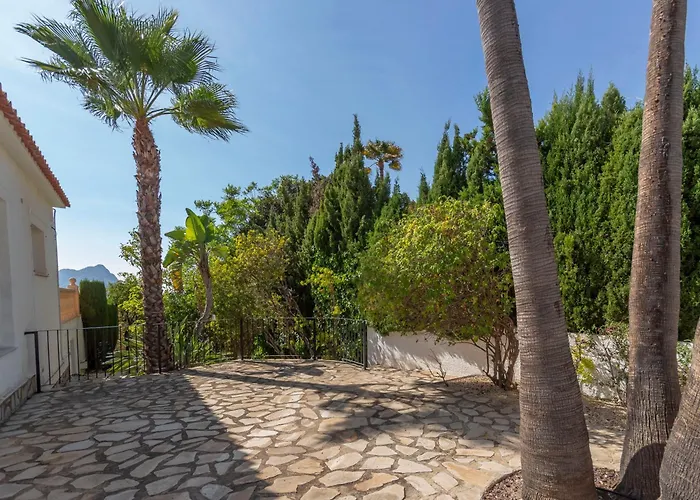 Robin - Costa Carpediem * Calpe